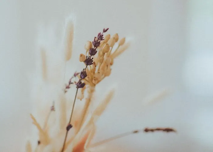 Kapuzini Livin' Книттельфельд